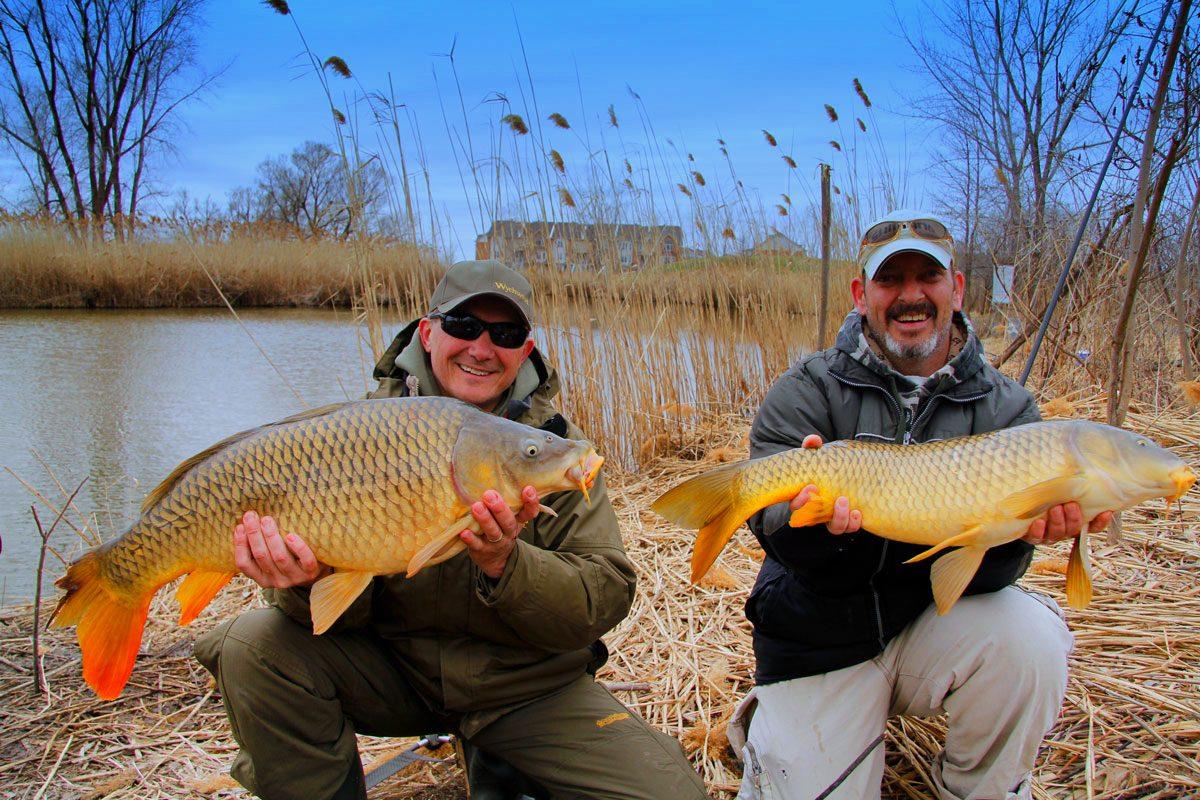 Delta din mijlocul orasului